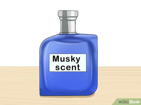 Step 4 Choose a scent with a hint of musk.